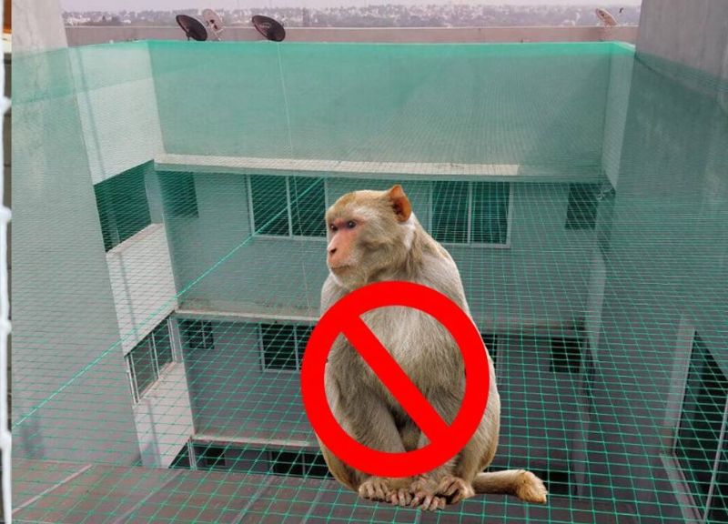 Monkey Safety Nets in Kanakapura Road